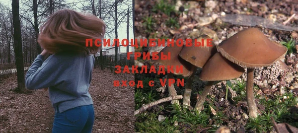 бошки Дрезна