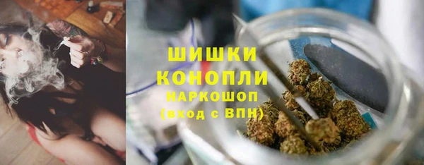 прущий лед Абаза